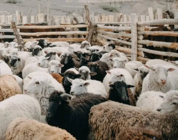 Imagen-de-WhatsApp-2025-08-07-a-las-12.04.11_d80c3637