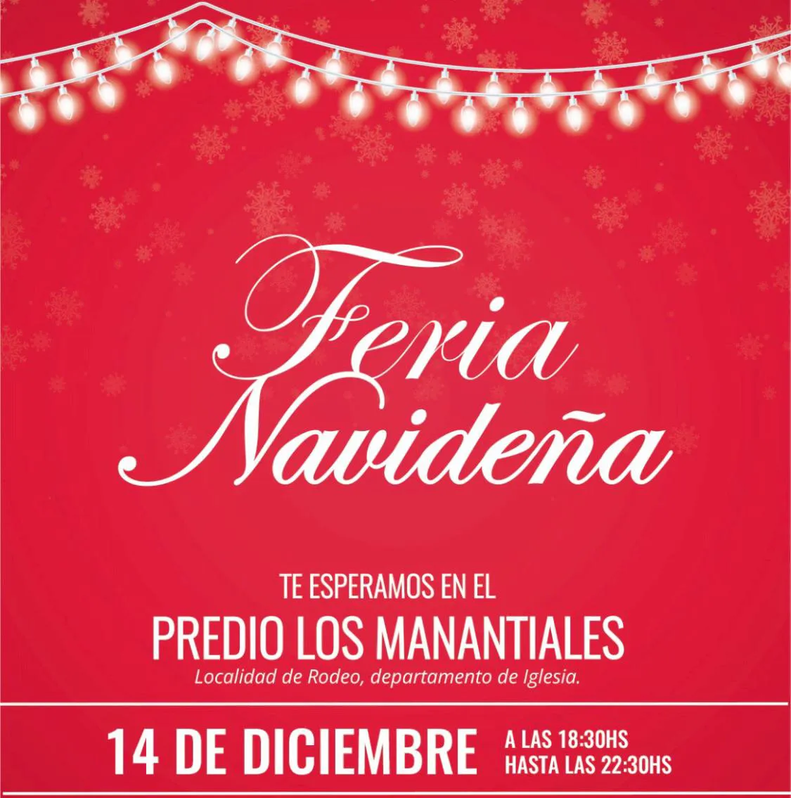 Imagen de WhatsApp 2024-12-11 a las 12.03.13_7f20fdf2