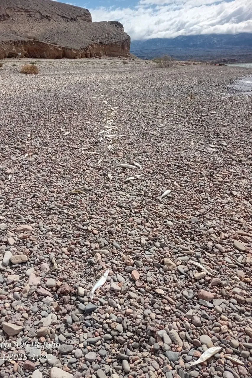 1c009adc-fc48-4ebe-bac5-7c841de9b298-jpeg.