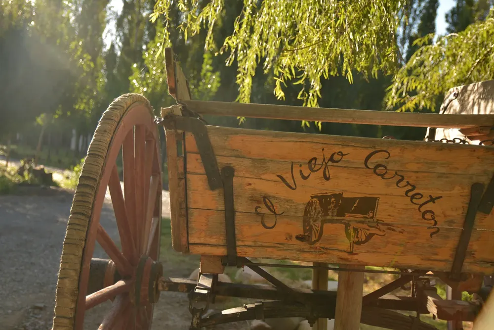 ads-07065F744AF6-F944-54CB-C728-13B403680CE9