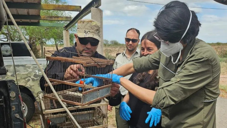 f7ab9d9d9832d27d78196f7bb83b4547_L