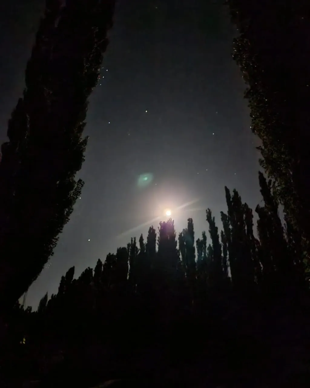 Imagen de WhatsApp 2024-11-20 a las 12.09.54_8080077a