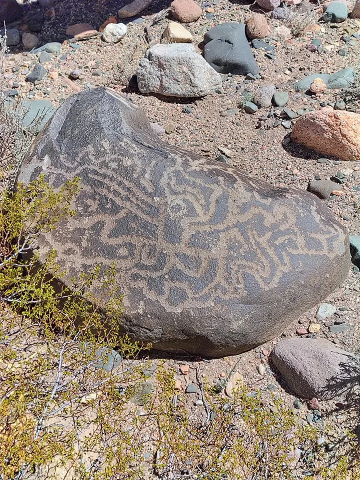 568557375_1222876753217837_5286510042346269708_n