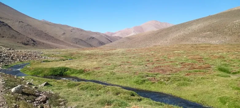 35a11765b00ab0f9ab8ef316093fd55a_L