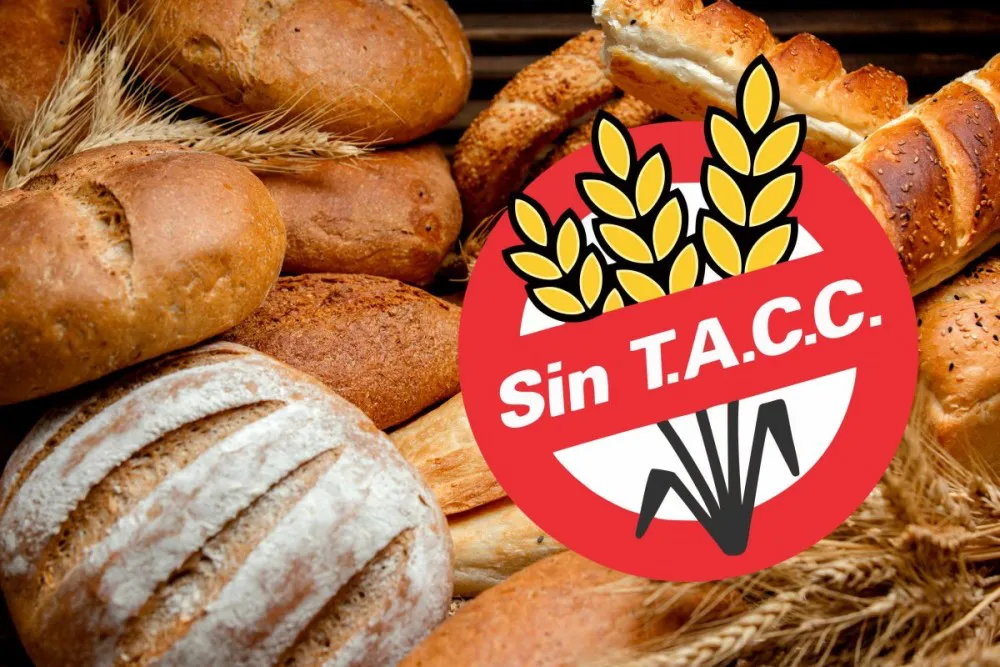 b1d987bdd651a38fd5e015c0209ad3e3_XL