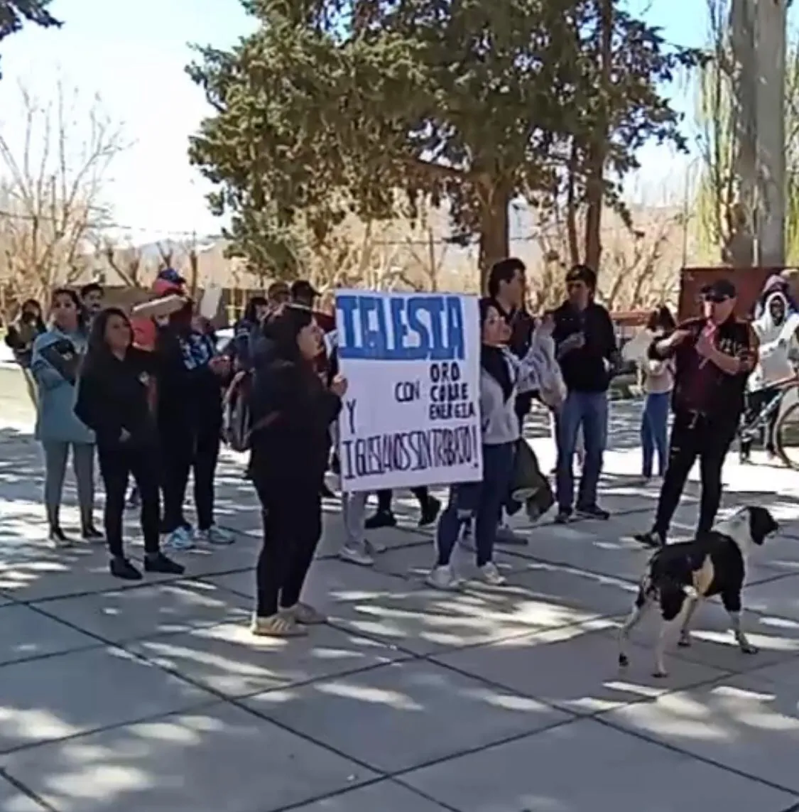 Imagen de WhatsApp 2024-09-09 a las 13.57.24_3db0bd77