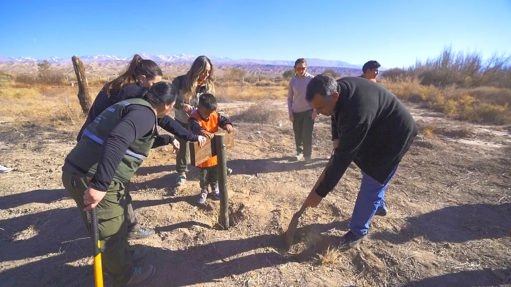 54731472553_9d112d7ca1_b