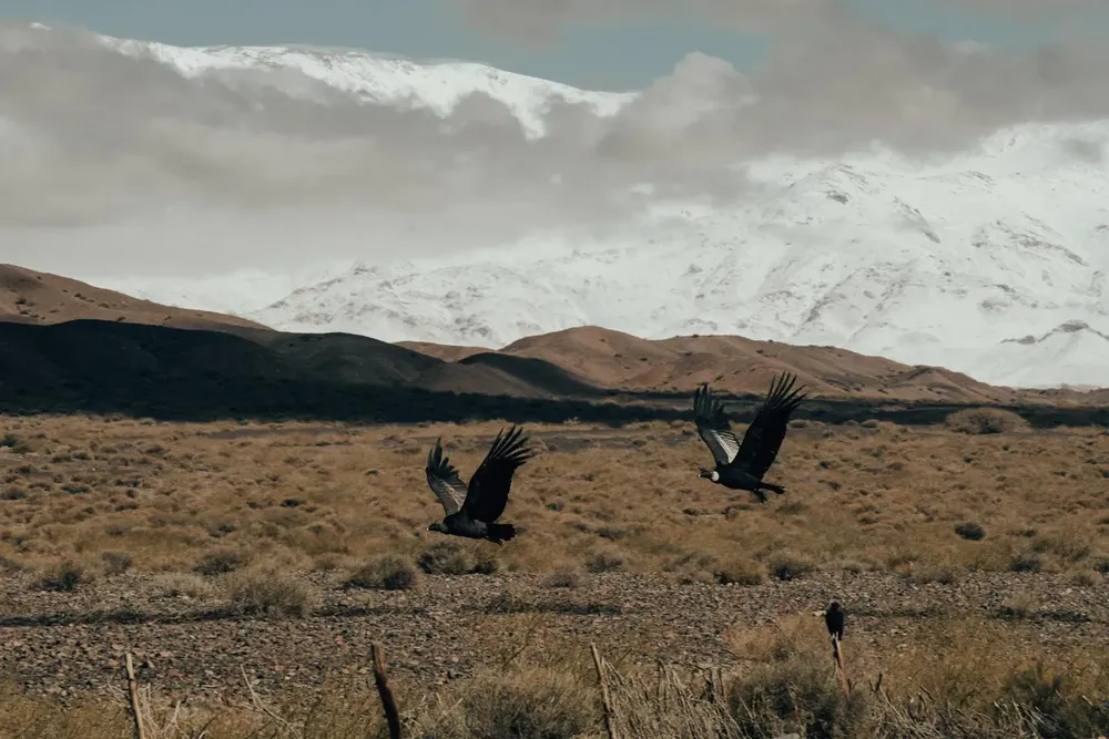 437055787_818772953628221_1555038613146198386_n