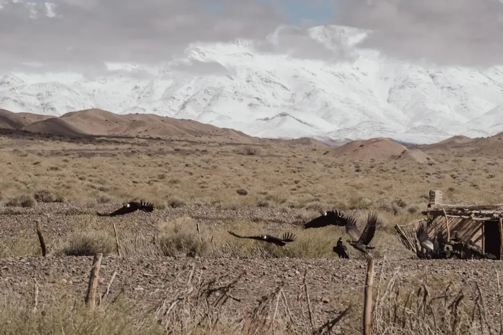 437075575_818772996961550_5995535449048143583_n