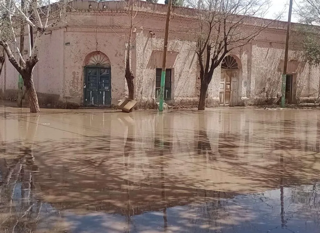 Imagen de WhatsApp 2025-01-08 a las 14.41.03_ade164d8