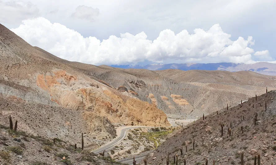 6022b75fc8a4b_890x533