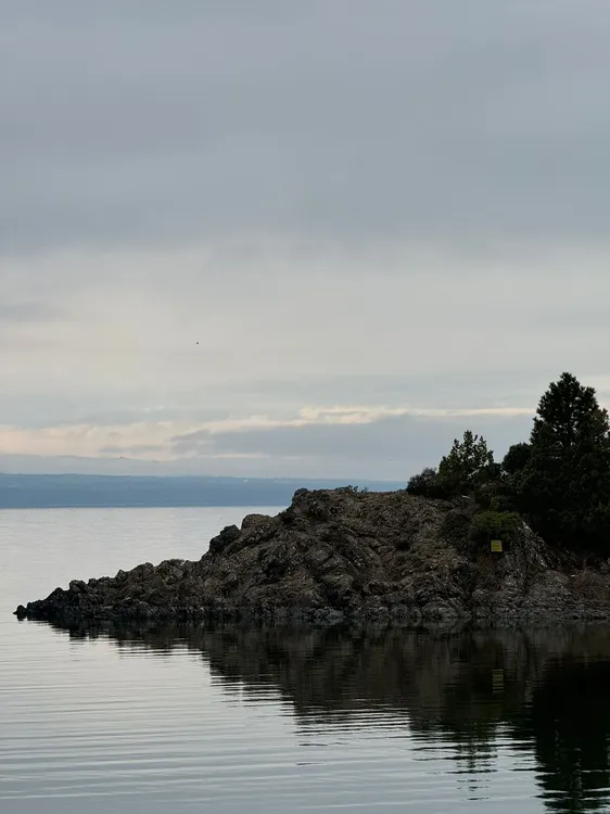 Imagen de WhatsApp 2024-10-09 a las 15.18.54_1d3c9de7