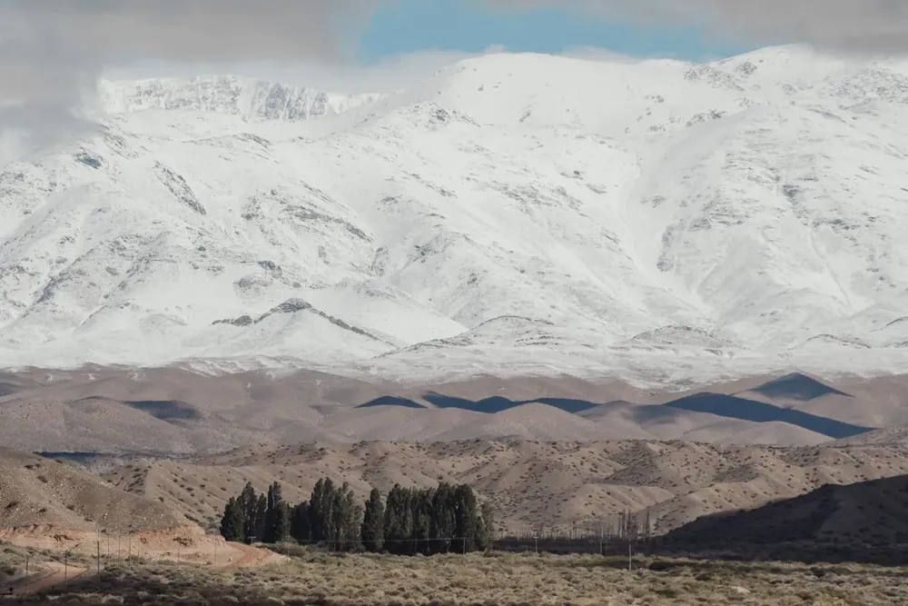 435404515_818772906961559_5737995336966121799_n